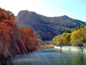 正新澳门二四六天天彩，空气锤价格